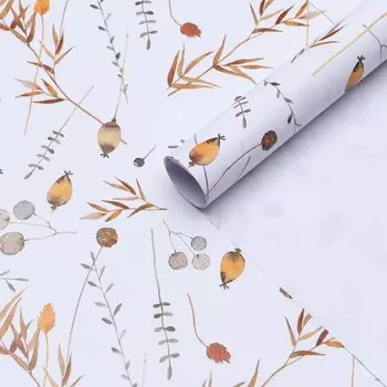 Бумага упаковочная глянцевая "Сухоцветы", 0,49 х 0,7 м