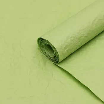 Бумага упаковочная "Эколюкс", МИКС салатовый, 0,67 x 5 м