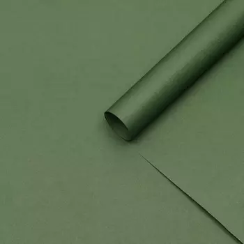 Бумага упаковочная крафт «Изумрудный»,5070 см
