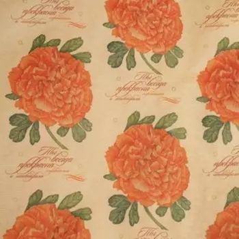 Бумага упаковочная крафт "Процветание", 0.7 x 10 м