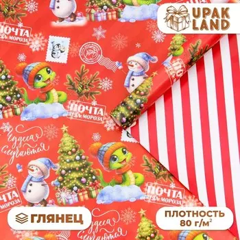 Бумага упаковочная "Узор для змейки", глянец, двусторонняя, 80 г/м2 , 50 х 70 см