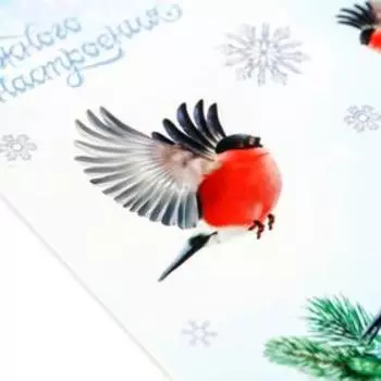 Бумажные наклейки «Снегири», 14 × 21 см