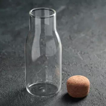 Бутыль для масла «Эко», 400 мл, 6×16,5 см