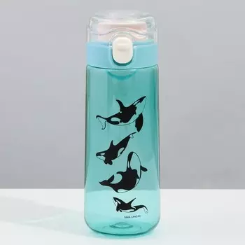 Бутылка для воды «Касатки», 520 мл