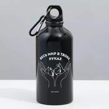 Бутылка для воды металлическая «Весь мир», 500 мл