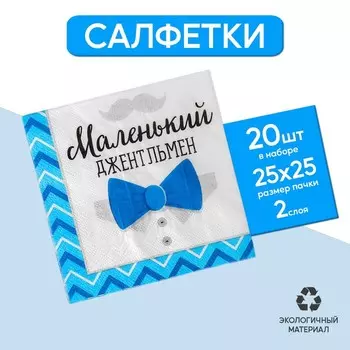 Салфетки бумажные на гендер-пати «Маленький джентльмен», 25 х 25 см, 20 шт.