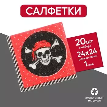 Cалфетки «Пират», 25х25 см, набор 20 шт.