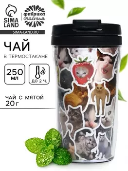 Чай подарочный в термостакане «Котики мемы», вкус: мята, 20 г