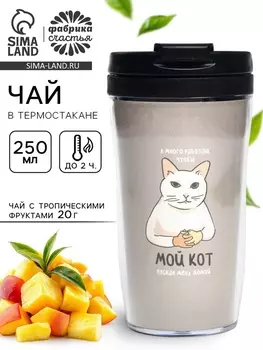 Чай подарочный в термостакане «Мой кот мем», вкус: тропические фрукты, 20 г