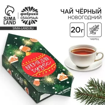 Чай новогодний «Время для чудес», вкус: чабрец, 20 г