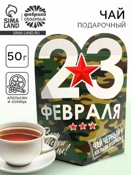Чай подарочный «23 февраля», вкус: апельсин и корица, 50 г