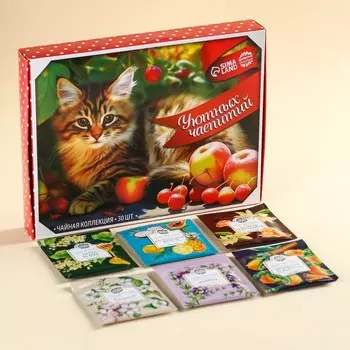 Чай подарочный «Уютных чаепитий», 54 г (30 пакетиков х 1,8 г).