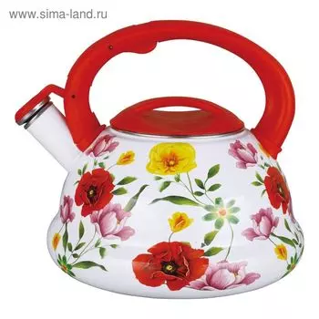 Чайник эмалированный, 3 л