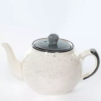 Чайник Elrington «Графитовый бриз», 510 мл