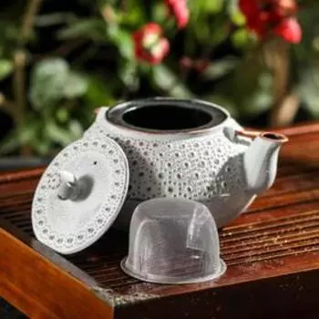 Чайник с ситом «Шио», 850 мл