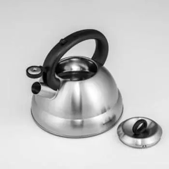 Чайник со свистком Nadoba Berna, 3 л