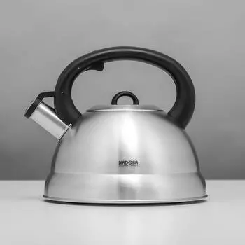 Чайник со свистком Nadoba Berna, 4 л