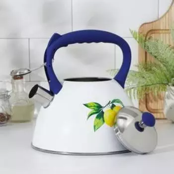 Чайник со свистком из нержавеющей стали Доляна «Лимоны», 3 л