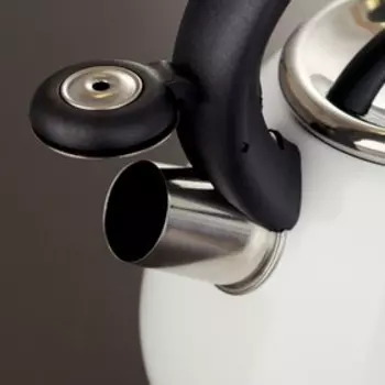 Чайник Доляна Magic birds, 3 л, со свистком, с индикатором нагрева, индукция, нержавеющая сталь, белый