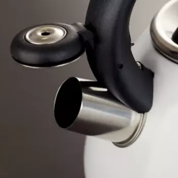 Чайник Доляна Magic forest, 3 л, со свистком, с индикатором нагрева, индукция, нержавеющая сталь, белый