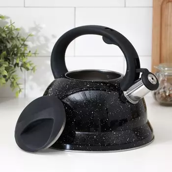 Чайник со свистком Доляна «Рио», 2,8 л, цвет чёрный