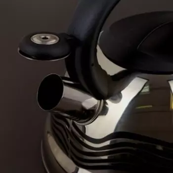 Чайник Доляна «Волна», 2.8 л, со свистком, с индикатором нагрева, фиксированная ручка, нержавеющая сталь