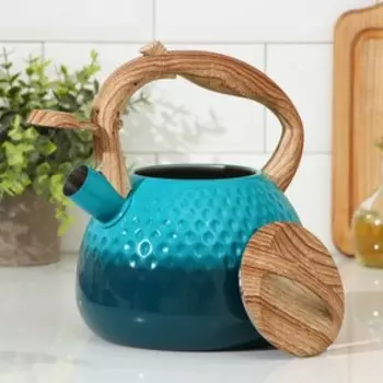 Чайник со свистком Mist, 3 л, 23×19×22 см, цвет зелёный