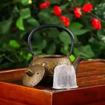 Чайник для плиты Доляна «Волна. Этно», 300 мл, с ситом, чугун, индукция, бронзовый