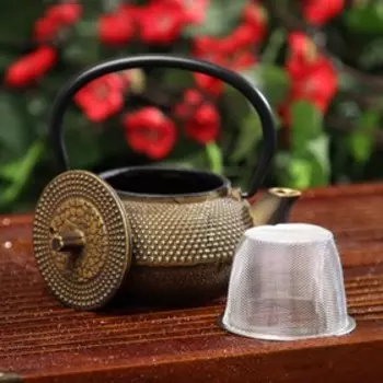 Чайник для плиты Доляна «Восточная ночь. Золото», 300 мл, с ситом, чугун, индукция, золотой