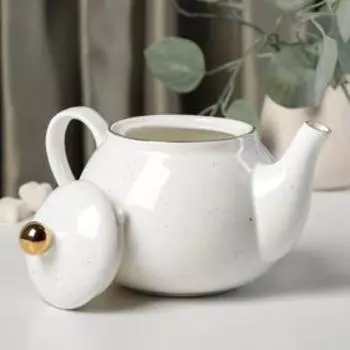 Заварочный чайник Доляна «Млечный путь», 900 мл, фарфор, белый