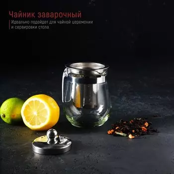 Заварочный чайник Magistro «Шейди», 350 мл, металлическое сито, стекло