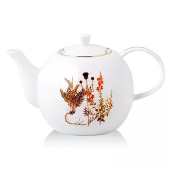 Чайник заварочный Zapel Mushroom, 1.35 л