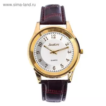 Часы мужские наручные кварцевые "Дант", ремешок экокожа, d-3 см