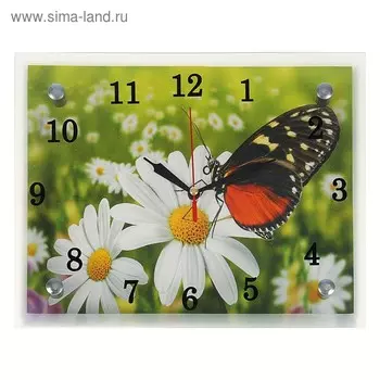 Часы-картина настенные, серия: Цветы, "Бабочка на ромашке", 20 х 25 см