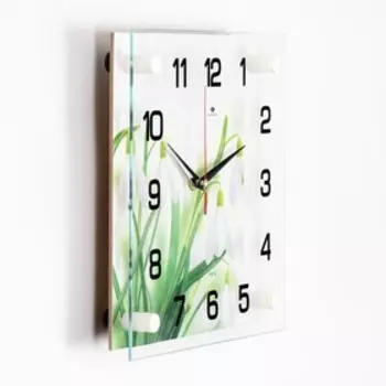 Часы настенные: Цветы, «Подснежники», бесшумные, 2525 см