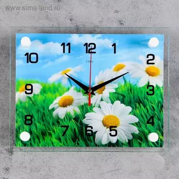 Часы настенные: Цветы, "Ромашки", бесшумные, 20 х 26 см