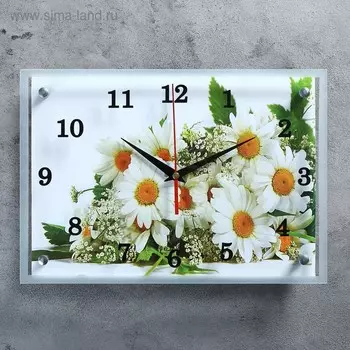 Часы-картина настенные, интерьерные "Ромашки", бесшумные, 25 х 35 см