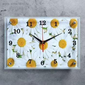Часы-картина настенные, серия: Цветы, "Ромашки", 25х35 см