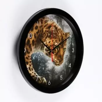 Часы настенные, d-28 см, интерьерные "Ягуар", бесшумные