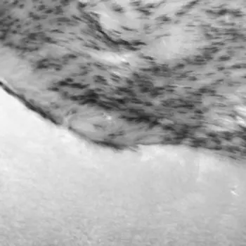 Чехлы сиденья Skyway ARCTIC, искусственный мех, 2 предмета, серый, S03001001