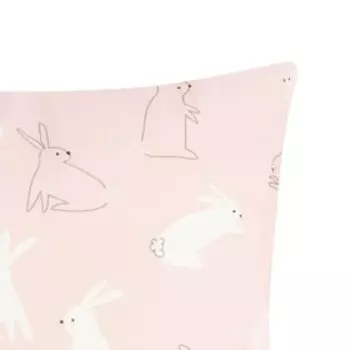 Наволочка декоративная Этель «Заи», 40х40 см, 100 п/э, велюр