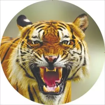 Чехол запасного колеса Тигр 2 R15 диаметр 67см Skyway экокожа, S06301034