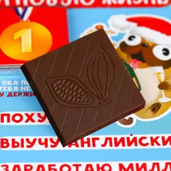 Чек-лист с молочным шоколадом «На новую жизнь», 5 г.