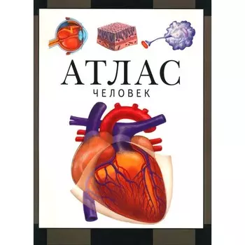 Человек. Атлас. 4-е издание. Барабанов С.В.