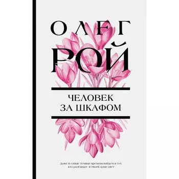 Человек за шкафом. Рой О.