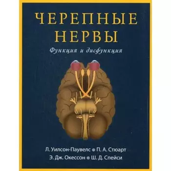 Черепные нервы. Функция и дисфункция. 2-е издание. Уилсон-Паувелс Л. и др.