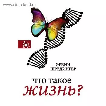 Что такое жизнь?