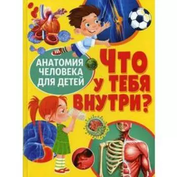 Что у тебя внутри? Анатомия человека для детей