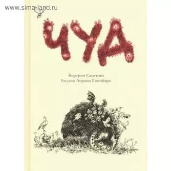 Чуд. Сантини Б.