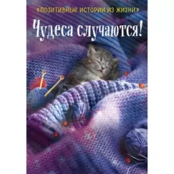 Чудеса случаются! Шумак Н., Чернецкая Т.